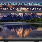 Laptop Dell 14 DC14250 DC4C5375W1 - Bảo hành 2 năm