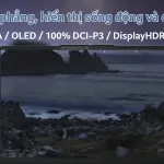 Laptop Lenovo IdeaPad Slim 5 14IPH11 83S5004FVN