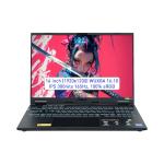 Máy tính xách tay/ Laptop Asus TUF Gaming F16 FX608JMR-RV048W (i7-14650HX) (Xám)